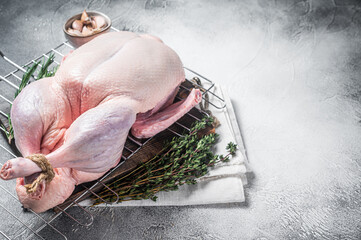 Ready for cooking whole duck with thyme and rosemary. Gray background. Top view. Copy space