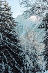 Snowy Peaks of The Alps around Chamonix, Mont Blanc, France