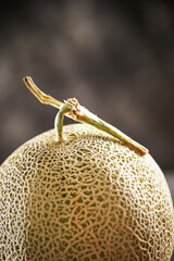 close up of a melon	