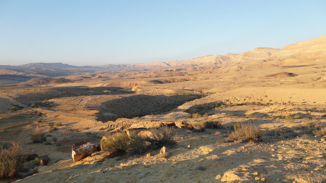 Tree trunk fossils are on the bottom of the crater Makhtesh Gadol, in the south of Israel,  Negev desert. Petrified wood is completely transitioned to stone by the process of permineralization