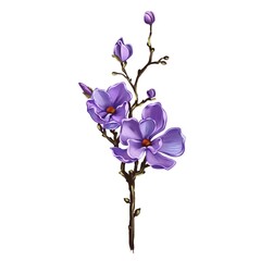Obraz premium orchid isolated on white background