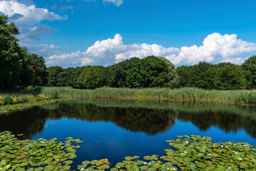 Naturschutzgebiet De Manteling beim Schloss Westhove bei Oostkapelle. Provinz Zeeland in den Niederlanden