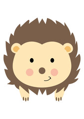 Friendly hedgehog isolated on white