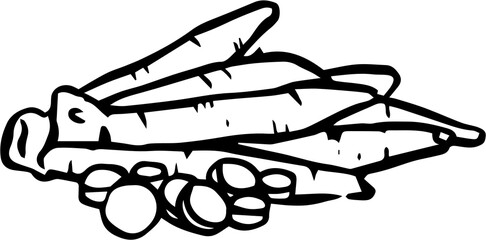 Thai herbs doodle elements with black and white outline