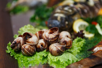 Fototapeta na wymiar Edible snails cooked and served in haute cuisine restaurant for dinner. Exotic escargot snail baked for wine party