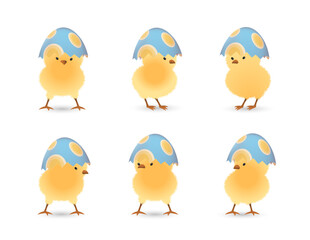 Chicks in upper part of broken Easter eggs with ovals set