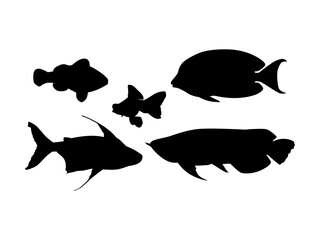 Set of Fishes Silhouette Isolated on a white background - Vector Illustration