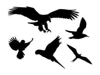 Fototapeta premium Set of Birds Silhouette Isolated on a white background - Vector Illustration