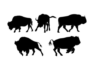 Set of Bisons Silhouette Isolated on a white background -  Vector Illustration