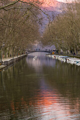 Allée d'arbre le long d'un canal menant au lac d'Annecy