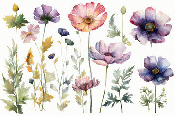 delicate watercolor beautiful meadow flowers on white background. generative ai 
