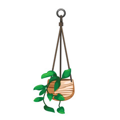 interior hanging planter cartoon vector illustration