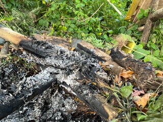 Bonfire in the middle of a forest with pile of wood and ash 
