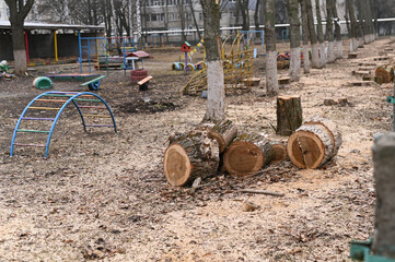 felled tree trunks on the playground.