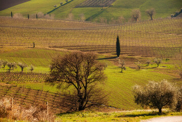 Countryside landscape in autumn, agricultural fields among hills
