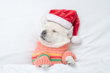 Funny Golden retriever puppy wearing red santa's hat sleeps under warm blanket on a bed at home....