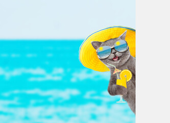 Funny cat wearing summer hat and mirrored sunglasses holds tropic cocktail and looks from behind empty white banner. isolated on white background