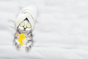 Cute kitten with towel on it head and with a pieces of cucumber on it eyes relaxing on the bed with...