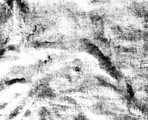 Grunge dots and points texture background. Abstract grainy overlay. PNG graphic illustration with transparent background.