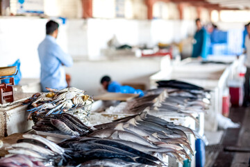 Fototapeta Fresh fish at the seafood market. Fish on the market stalls obraz