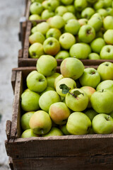 Fresh green apples on the wooden boxes, harvest, space for your text, local market or supermarket, Ukraine apples.
