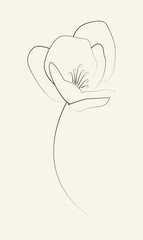Poppies flower continuous line drawing. Abstract minimal poppy. Editable vector line. Poppy flower icon, logo, label.