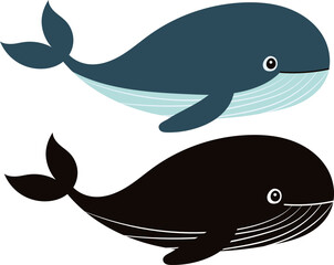 blue whale on white background with silhouette isolated