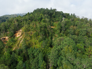 Aerial view from the top of the tropical mountain that full of trees