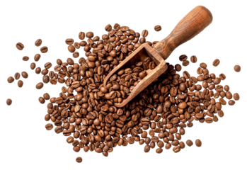 Scoop of coffee beans on white background. Coffee in scoop isolated. Top view of coffee.