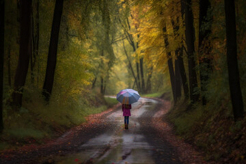 Autumn season, Walking on a road with an umbrella 
