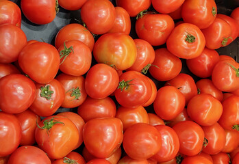Group of tomatoes for sell in market