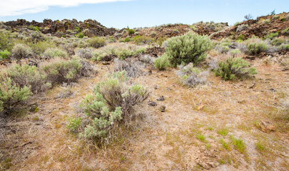 Rugged Rocky Trail at Lava Beds National Monument
