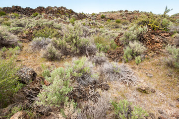 Fototapeta na wymiar Rugged Rocky Trail at Lava Beds National Monument