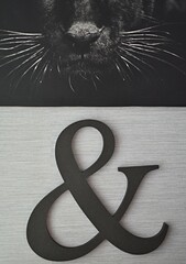 black panther painting and ampersand sign on the wall
