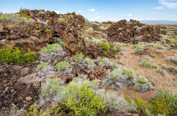 Fototapeta na wymiar Boulders and Bushes, Lava Beds National Monument
