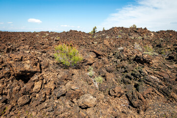 Rugged Lava Field at Lava Beds National Monument