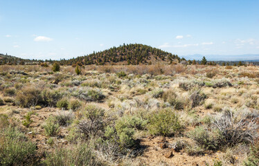 Fototapeta na wymiar Rocky Field at Lava Beds National Monument
