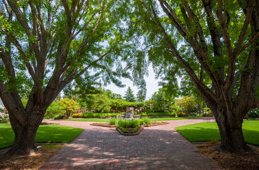 Summer Day at Luther Burbank Home and Gardens