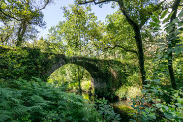 Puente de Nieto, en Cuntis (Galicia, España) - obrazy, fototapety, plakaty