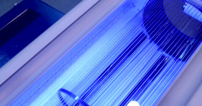 Blue light in the cannabis dryer camera movement. Element of the oblong part of the device.