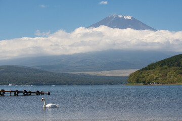 山中湖と富士山
