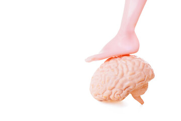 Doll's Foot Placed on Toy Brain Isolated on White
