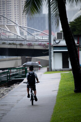비오는날 자전거를 타고 가는 우산을 쓴 남자 - obrazy, fototapety, plakaty