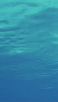 Vertical video, Underwater view of blue water surface during calm, Slow motion. Calm surface of blue water on bright sunny day. Natural blue water background. Beautiful clear blue water surface