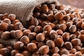 Hazelnuts, filbert in burlap sack on wooden backdrop. heap or stack of hazelnuts. Hazelnut background, healty food