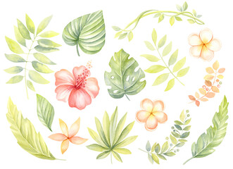 Tropical flowers and leaves collection . Botanical hand painted watercolor illustration with set of floral exotic plants