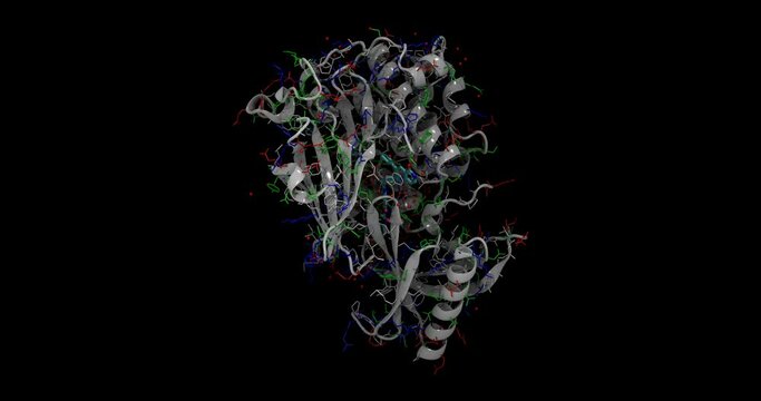 AKT1 kinase, programmed cell death (apoptosis) protein, 3D molecule spinning in 4K