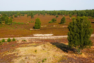 Sielmanns Naturlandschaft in der Kyritz-Ruppiner Heide