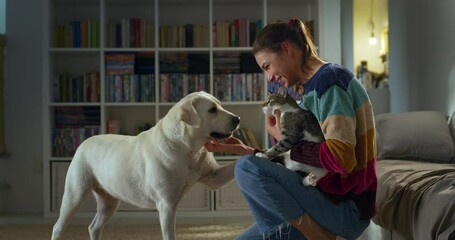 Happy Female Pets Owner Spending her Evening at home in the Living Room. Playful Dog and Cute Cat Enjoying Scratches and Cuddles from Their Owner. Little Family Love, Animal Best Friends - Powered by Adobe