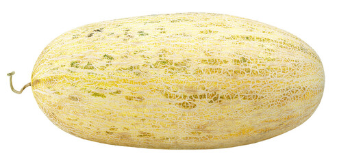 Oval melon isolated on transparent background. Uzbek Russian melon. Full depth of field.